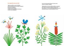 Thumbnail of Veronica Pomazan