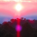 Thumbnail of Paradise Valley, by Grouper