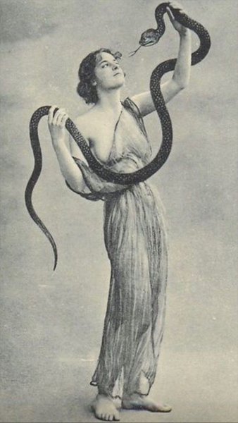 Thumbnail of Image