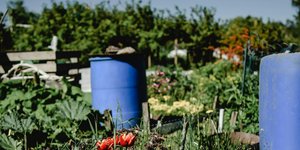 Thumbnail of Prefigurative Community Building (Part 3): Weaving Power With the Land