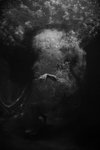 Thumbnail of Lois Snavely