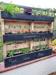 Thumbnail of DIY Pallet Herb Garden