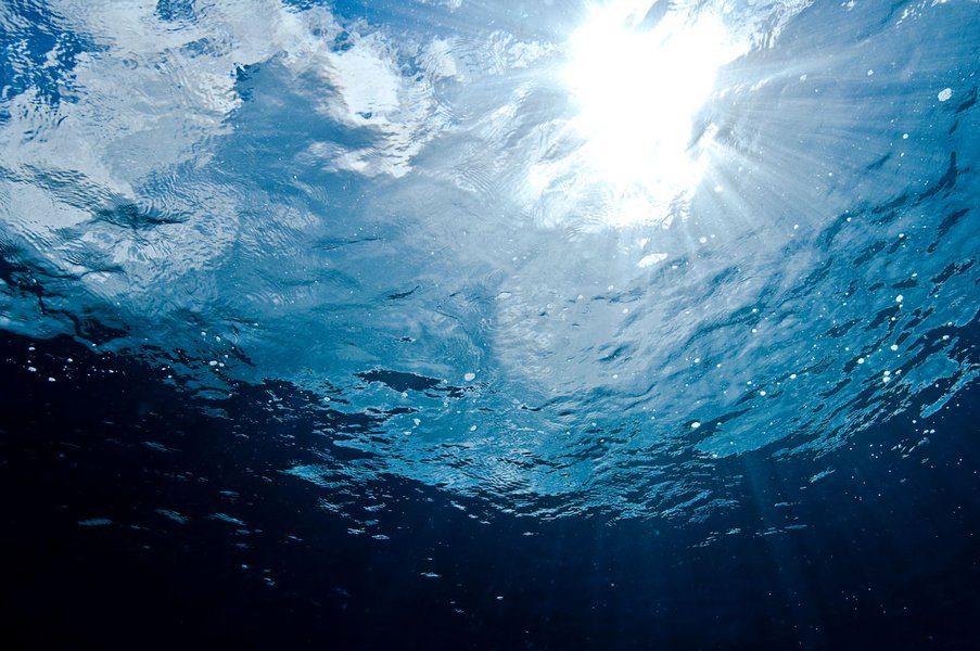Thumbnail of 0.001mm以下の微細なプラスチック粒子が、静かに海を満たしつつある：研究結果
