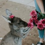 Thumbnail of How To Ask Beautiful Questions — A Guide | Life Curator