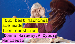 Thumbnail of Sunshine Machines: Towards a Feminist Future of Digital Care