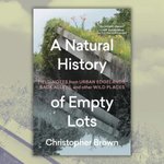 Thumbnail of Empty lots
