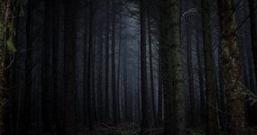 Thumbnail of The Dark Forest Theory of the Internet
