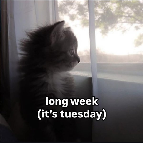 Preview of jpg-1170x1168