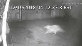 Thumbnail of Camect Smart Camera Hub: Industry Leading AI for your Security Cameras