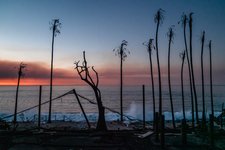 Thumbnail of ‘We’re in a New Era’: How Climate Change Is Supercharging Disasters