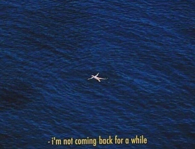 Thumbnail of Found on Cosmos