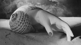 Thumbnail of The Voraciousness and Oddity of Dora Maar’s Pictures