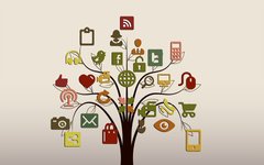 Thumbnail of Uncurated: The Case for a New Term of Art