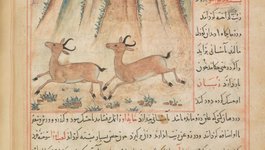 Thumbnail of After mom died, I found great comfort in a medieval Andalusian tale | Psyche Ideas