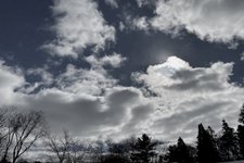 Thumbnail of Ichigo Ichie: Embracing joy in transitions
