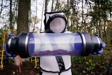 Thumbnail of ‘Murder Hornet’ Has Been Eradicated From the U.S., Officials Say