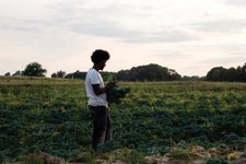 Thumbnail of Black Earth — THE BITTER SOUTHERNER