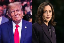Thumbnail of The Electoral Problem for Democrats: It's the Neoliberalism, Stupid
