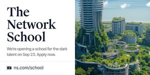 Thumbnail of The Network School