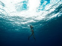 Thumbnail of What Can We Learn From The World’s Greatest Freedivers