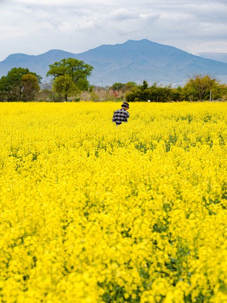 Preview of mountain-jpg-b8be