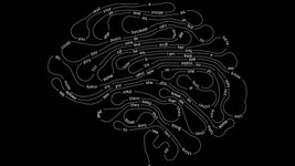 Thumbnail of The Case That A.I. Is Thinking