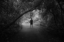 Thumbnail of When Personal Development Becomes the Disease, Not the Cure