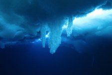 Thumbnail of 触れた生物を凍らせて海中をゆっくり伸びる自然現象「死の氷柱：ブライニクル」 - ナゾロジー