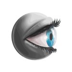 Thumbnail of Conceptual thinking