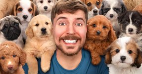 Thumbnail of The End of the MrBeast Era