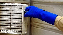 Thumbnail of Major research lost after cleaner turned off fridge, lawsuit says