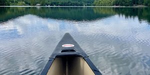 Thumbnail of Overcommitting Benefits No One