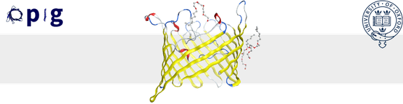 Thumbnail of Making Pretty Pictures with PyMOL | Oxford Protein Informatics Group