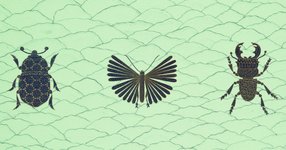 Thumbnail of Bug-Affairs