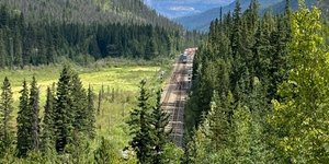Thumbnail of EDMONTON, CA (2024) “Gordon Lightfoot”