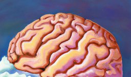 Thumbnail of Why should you actually feel your emotions?