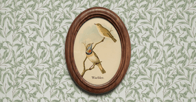 Thumbnail of Warbler