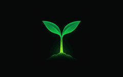 Thumbnail of Digital Gardens