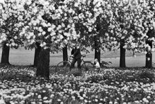 Thumbnail of The Weight of Wanting to Become — Business & Arts