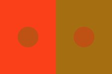 Thumbnail of Dale Purves, the neuroscientist who makes sense of the brain | Aeon Essays