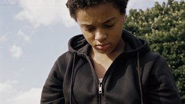 Thumbnail of A review of Bird (2024)