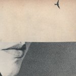 Thumbnail of Found on Cosmos
