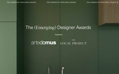 Thumbnail of The (Emerging) Designer Awards