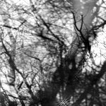 Thumbnail of Way Their Crept, by Grouper