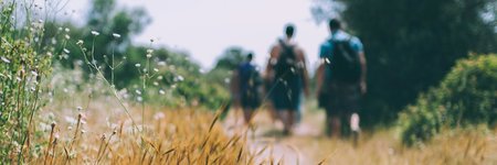 Thumbnail of Resilience Requires Flexibility