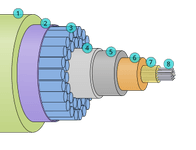 Thumbnail of Submarine communications cable