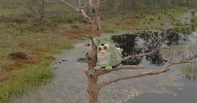 Thumbnail of November 2025 Horoscopes