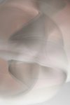 Thumbnail of The Delicate Dance