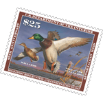 Thumbnail of national-zoo-bird-house-delaware-bay-aviary