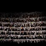 Thumbnail of Dead Trees Bloom Flowers